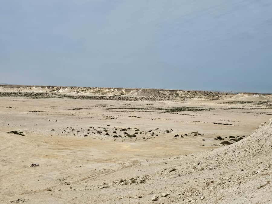 West Qatar-Doha Richard sierra,camel race,mushroom rock - Who This Tour Fits Best