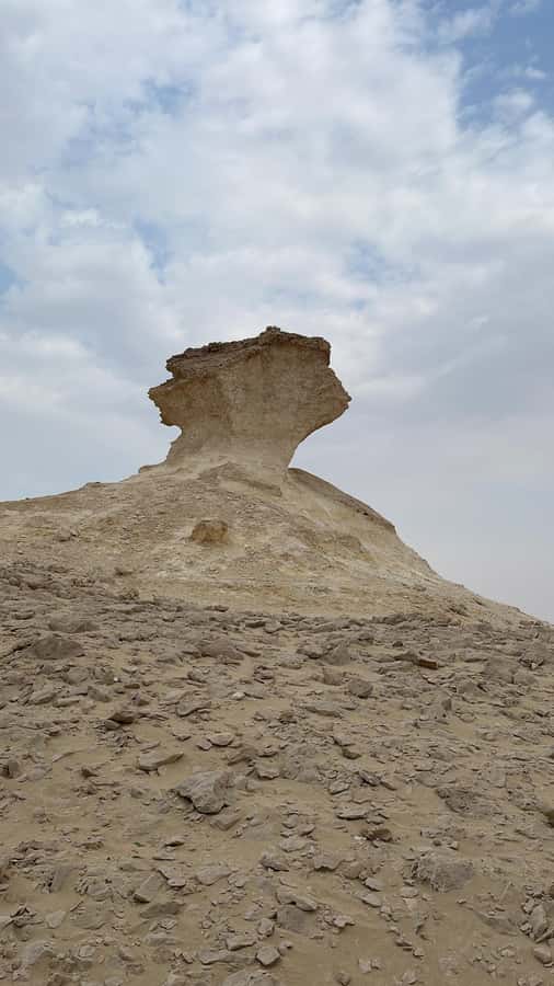 West Qatar tour to Richard Sierra sculpture,Umbrella Rock - Who this tour suits best (and who should rethink it)
